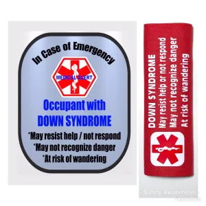 Down Syndrome Backpack Strap - Car Seat Strap Cover - Window Decal Set
