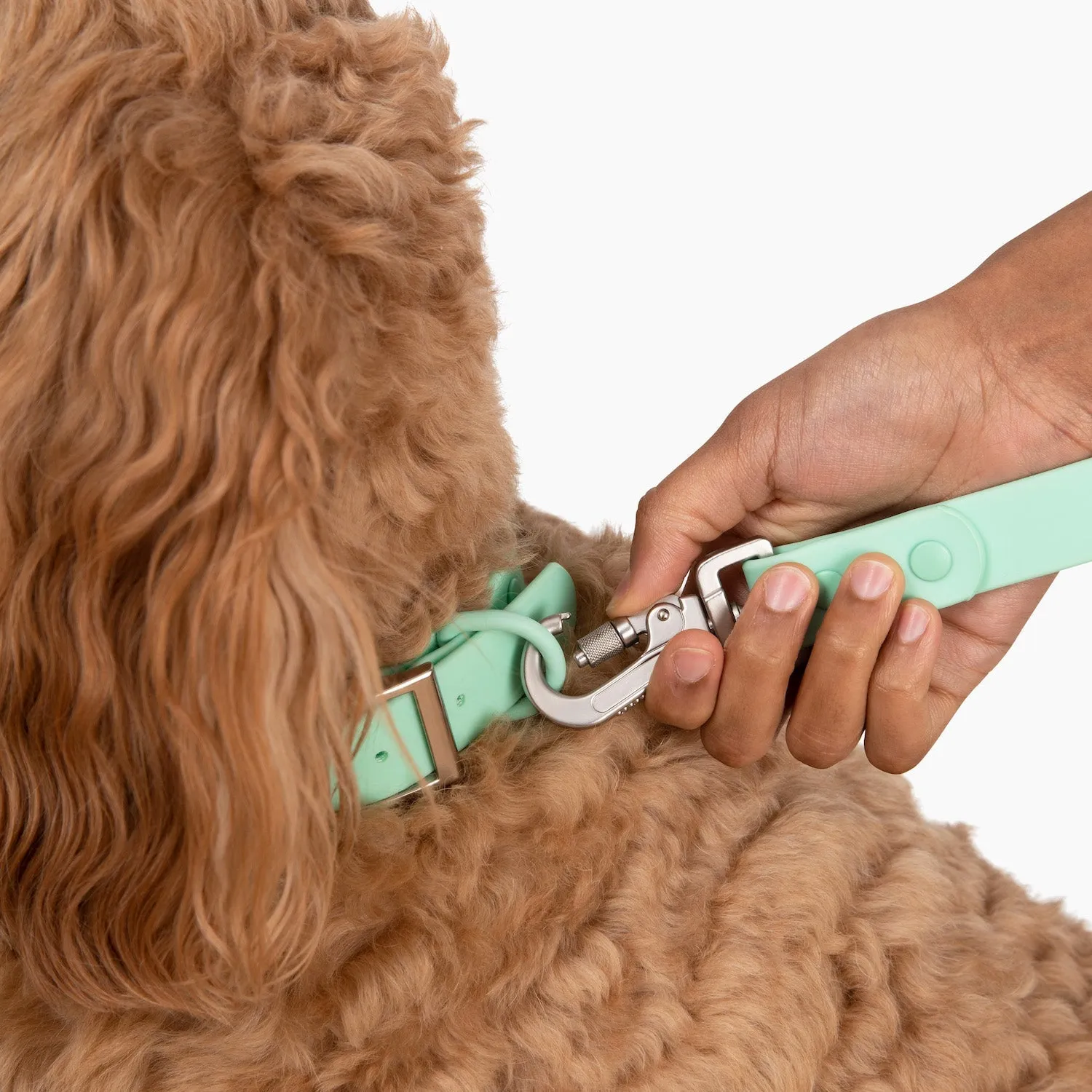 Mint Waterproof PVC Collar