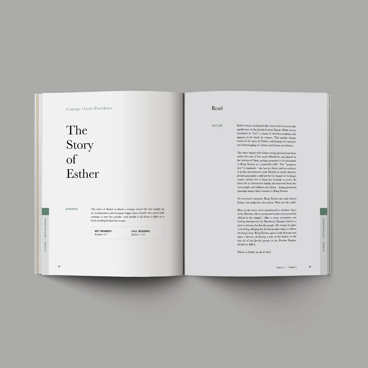 The Study Collection